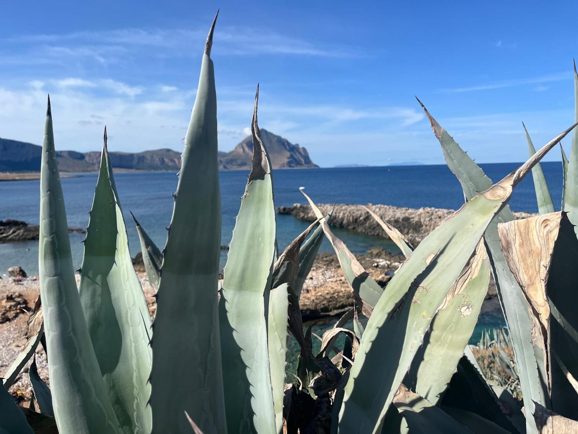 Home La Chiaretta Buseto Palizzolo Bagian luar foto